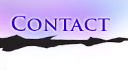 Contact Page Button